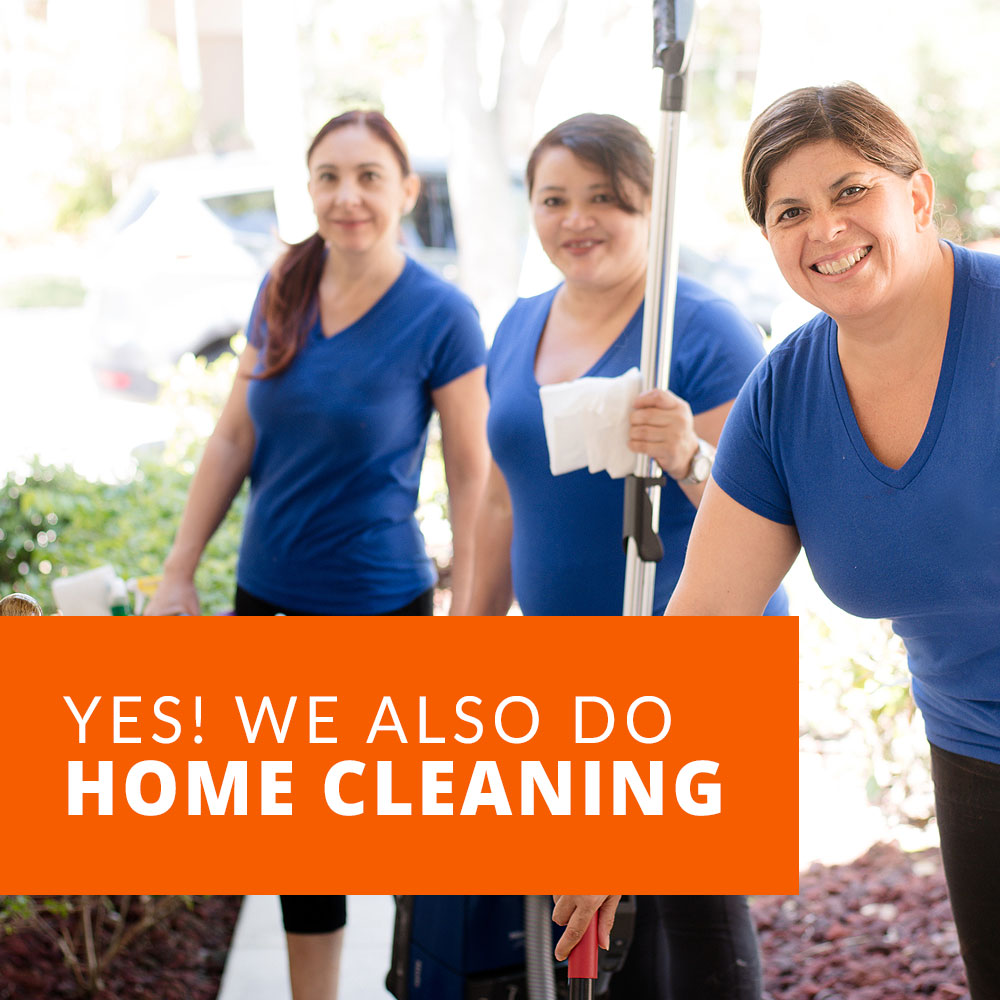 Art of Solar Panel Cleaning Dubbo Parkes Mudgee